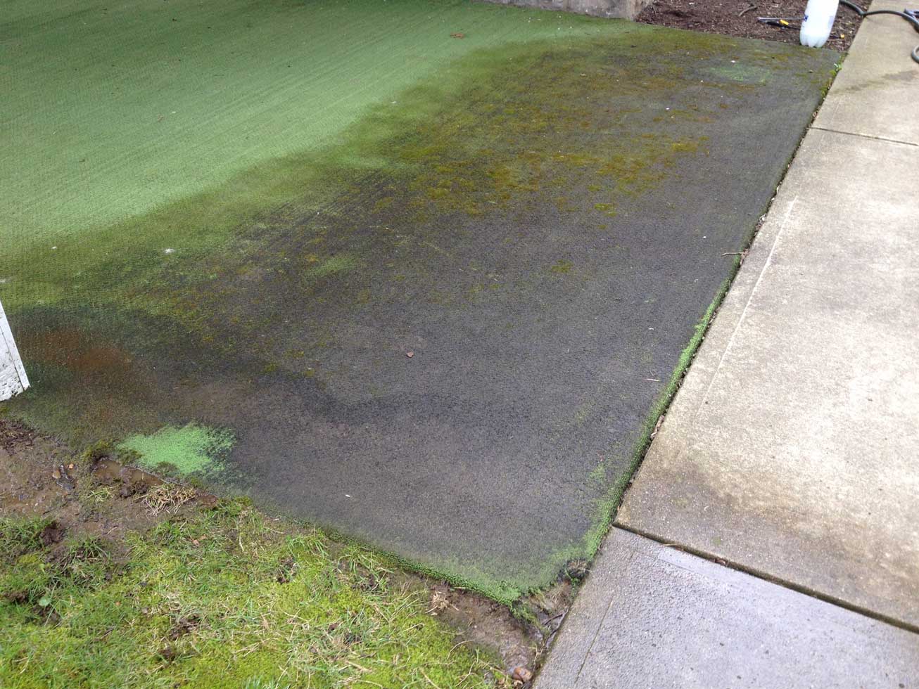 Exterior Carpet Before