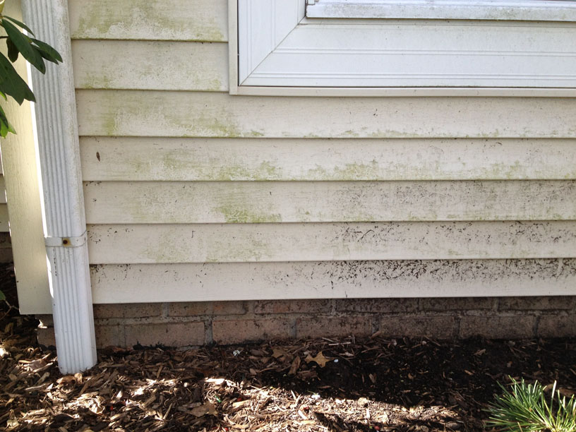 Power Washing Before