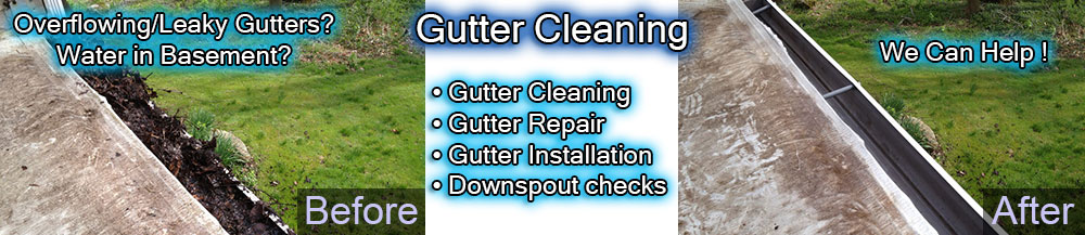 Gutter Cleaning
