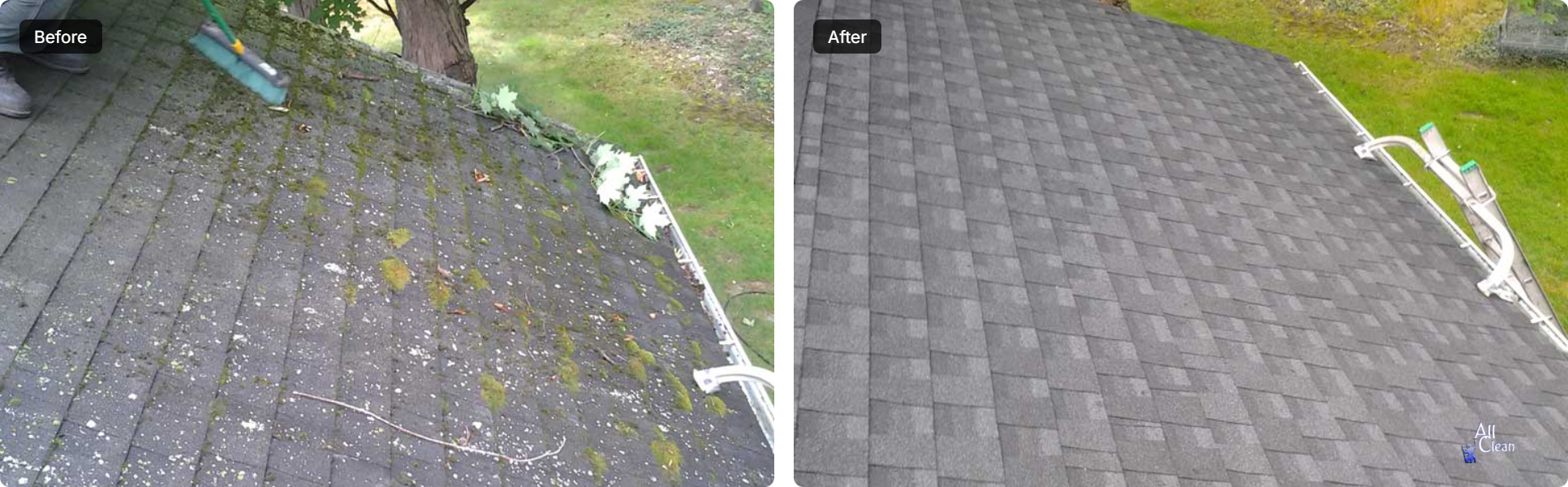 Roof Cleaning