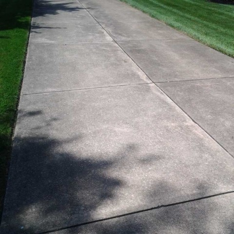 Driveway Cleaning Before