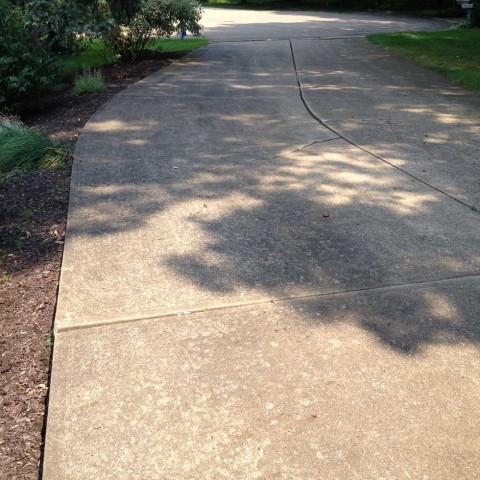 Driveway Cleaning 2 Before