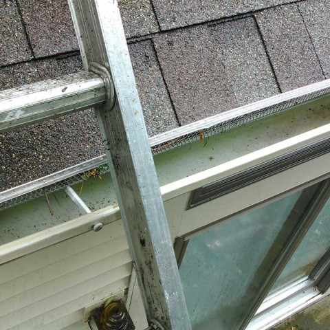 Mold In Gutter After