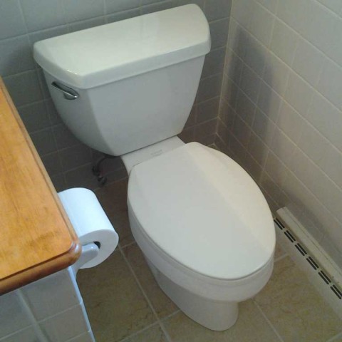 Toilet Replace After