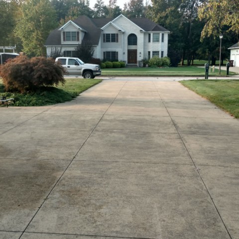 Concrete Cleaning Driveway BEFORE